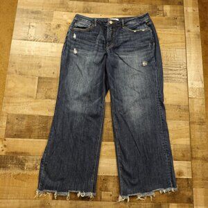 Lovervet by Vervet Dad Jeans Women’s 16W Dark Wash High Rise Frayed Hem